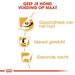 Royal Canin Hondenvoer Cavalier King Charles Adult 1,5 Kg 5 Royal Canin Hondenvoer Cavalier King Charles Adult 1,5 Kg -Aanbiedingen Snoef Poot Winkel RJ1T49 I 1