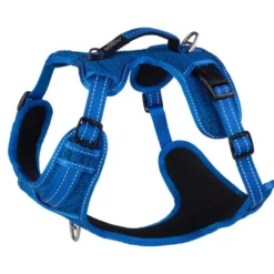 Rogz Hondentuig Explore Blue 6 Rogz Hondentuig Explore Blue -Aanbiedingen Snoef Poot Winkel RSJX06B DET0