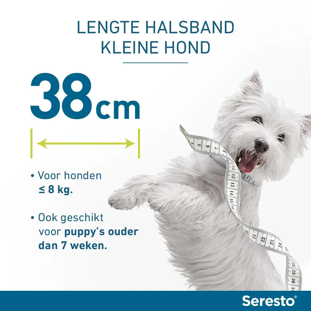 Seresto Band Voor Kleine Honden 2 Seresto Band Voor Kleine Honden - Afbeelding 2