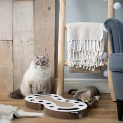 District 70 SNAKE White -Aanbiedingen Snoef Poot Winkel Snake wit 2