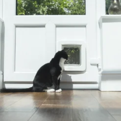 Sureflap Huisdierluik Connect Wit -Aanbiedingen Snoef Poot Winkel Sure Petcare Pet Door Connect Clara Looking Out