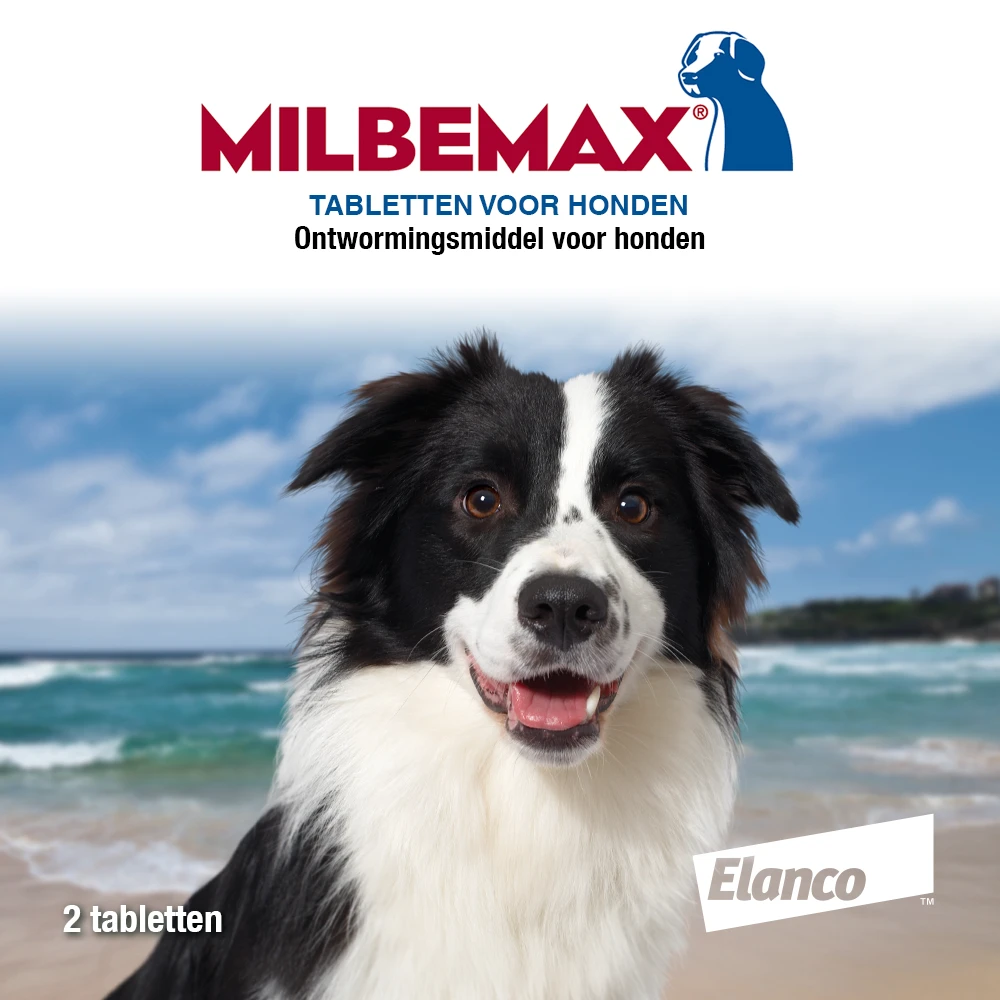 Milbemax Tabletten Hond 10 - 50 Kg 2 St 2 Milbemax Tabletten Hond 10 - 50 Kg 2 St - Afbeelding 2