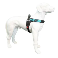 Tre Ponti Hondentuig Forza Blauw