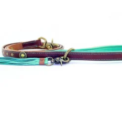 Dog With A Mission Hondenlijn Joe