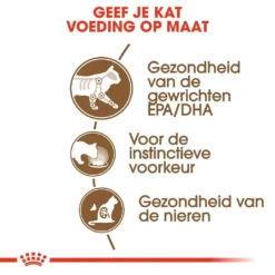 Royal Canin Kattenvoer Ageing 12+ In Jelly 12 X 85 Gr -Aanbiedingen Snoef Poot Winkel royal canin ageing 12plus in jelly senior kat oudere kat vanaf 12 jaar hero usp