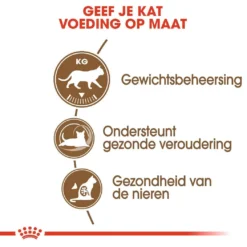 Royal Canin Kattenvoer Ageing 12+ 4 Kg 6 Royal Canin Kattenvoer Ageing 12+ 4 Kg -Aanbiedingen Snoef Poot Winkel royal canin ageing sterilised 12plus senior kat oudere kat vanaf 12 jaar hero usp 1