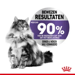 Royal Canin Kattenvoer Appetite Control Care 3,5 Kg 7 Royal Canin Kattenvoer Appetite Control Care 3,5 Kg -Aanbiedingen Snoef Poot Winkel royal canin appetite control care gesteriliseerd volwassen kat bedelgedrag hero image 9