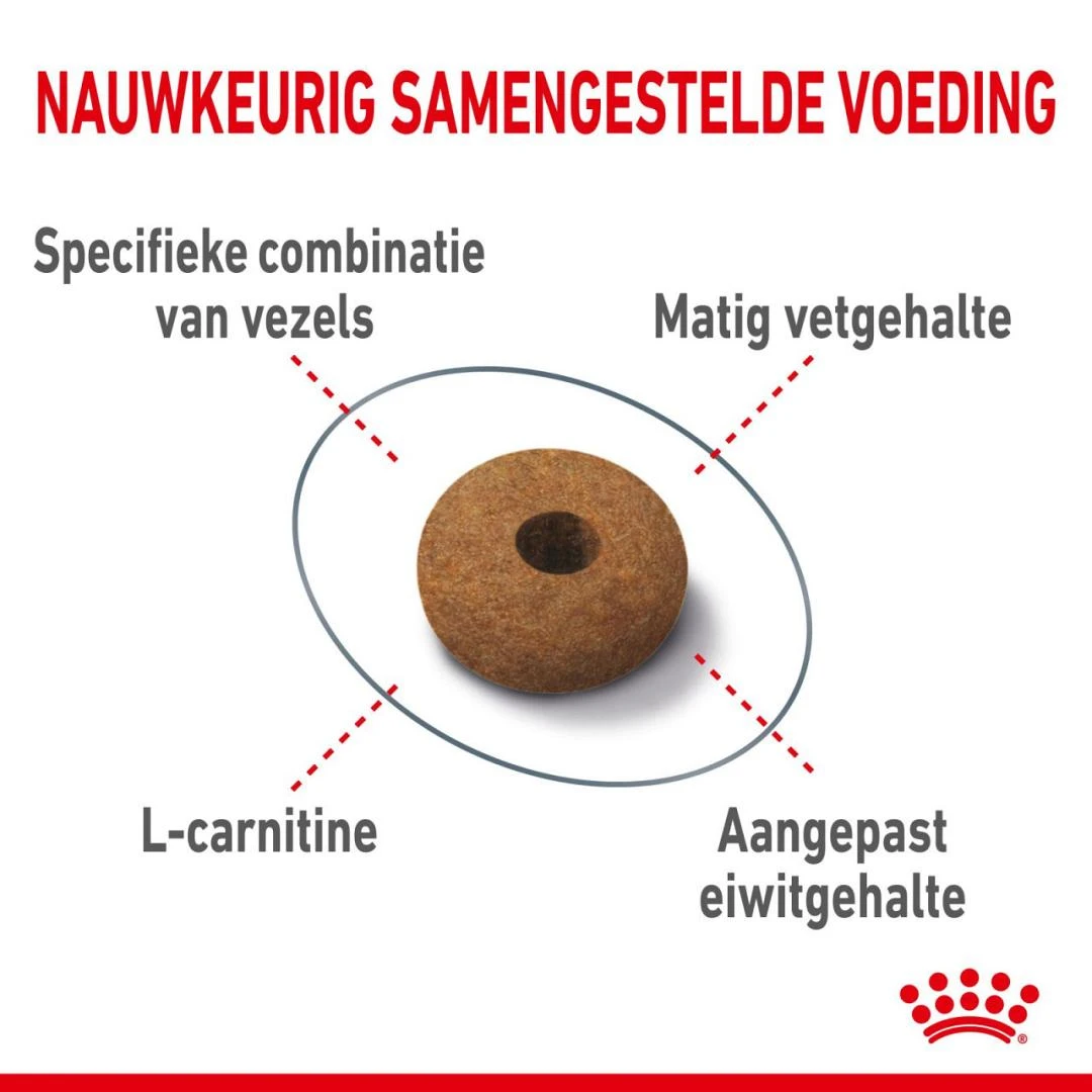 Royal Canin Kattenvoer Appetite Control Care 2 Kg 2 Royal Canin Kattenvoer Appetite Control Care 2 Kg - Afbeelding 2