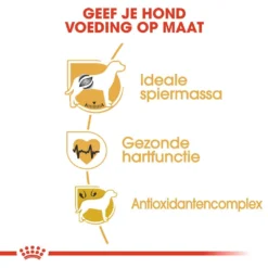 Royal Canin Hondenvoer Boxer Adult 12 Kg -Aanbiedingen Snoef Poot Winkel royal canin boxer adult volwassen hond boxer vanaf 15 maanden hero usp