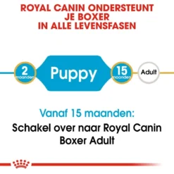 Royal Canin Hondenvoer Boxer Puppy 12 Kg -Aanbiedingen Snoef Poot Winkel royal canin boxer junior pup hond boxer hero image 9 1