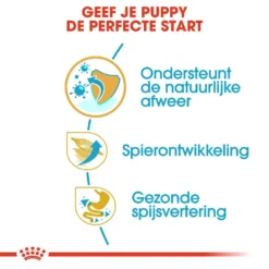 Royal Canin Hondenvoer Boxer Puppy 12 Kg -Aanbiedingen Snoef Poot Winkel royal canin boxer junior pup hond boxer hero usp 1