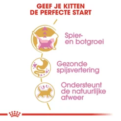 Royal Canin Kattenvoer British Shorthair Kitten 10 Kg -Aanbiedingen Snoef Poot Winkel royal canin british shorthair kitten kitten kat brits korthaar hero usp 1