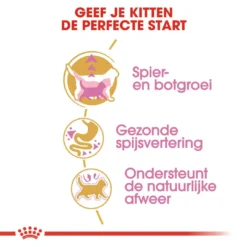 Royal Canin Kattenvoer British Shorthair Kitten 2 Kg 6 Royal Canin Kattenvoer British Shorthair Kitten 2 Kg -Aanbiedingen Snoef Poot Winkel royal canin british shorthair kitten kitten kat brits korthaar hero usp