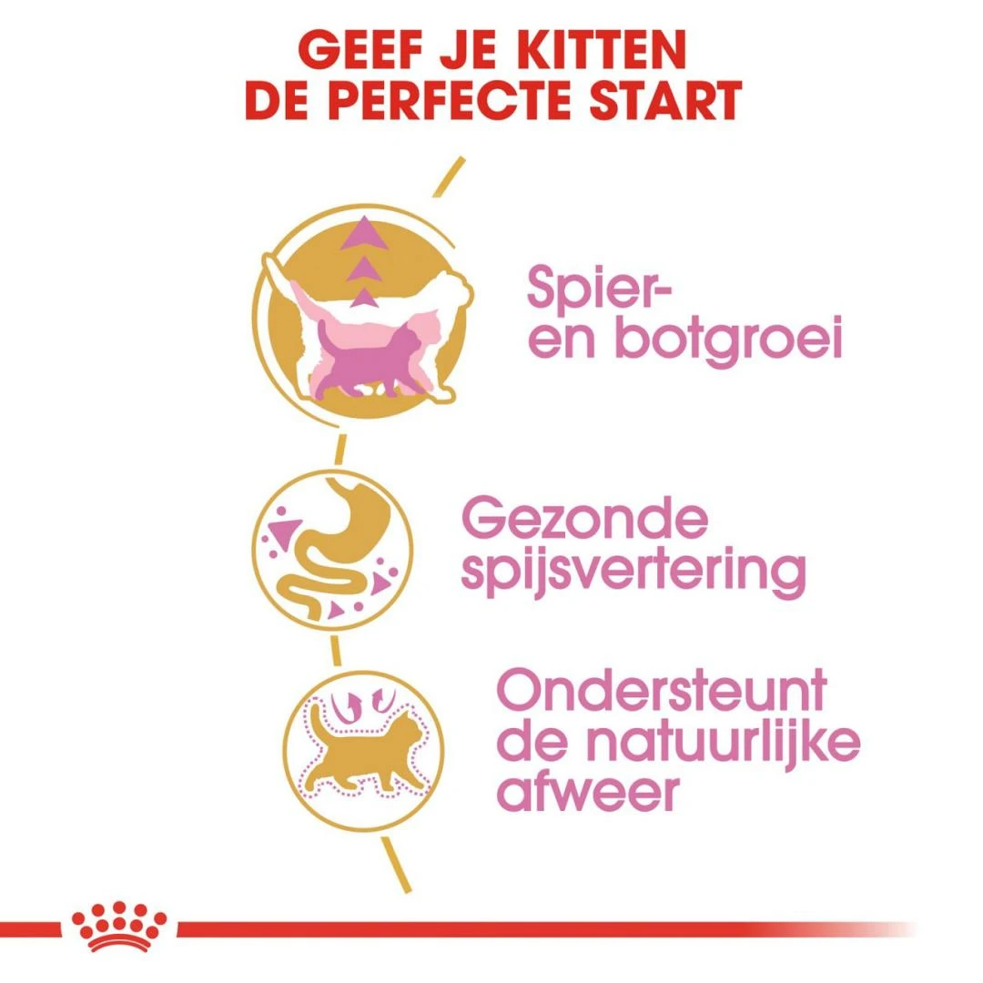 Royal Canin Kattenvoer British Shorthair Kitten 2 Kg 3 Royal Canin Kattenvoer British Shorthair Kitten 2 Kg - Afbeelding 3