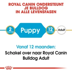 Royal Canin Hondenvoer Bulldog Puppy 12 Kg -Aanbiedingen Snoef Poot Winkel royal canin bulldog junior pup hond bulldog hero image 9