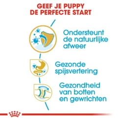 Royal Canin Hondenvoer Bulldog Puppy 12 Kg -Aanbiedingen Snoef Poot Winkel royal canin bulldog junior pup hond bulldog hero usp