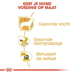 Royal Canin Hondenvoer Chihuahua Adult 12 X 85 Gr 7 Royal Canin Hondenvoer Chihuahua Adult 12 X 85 Gr -Aanbiedingen Snoef Poot Winkel royal canin chihuahua adult natvoer volwassen hond chihuahua vanaf 8 maanden hero usp