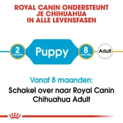 Royal Canin Hondenvoer Chihuahua Puppy 1,5 Kg -Aanbiedingen Snoef Poot Winkel royal canin chihuahua junior pup hond chihuahua hero image 9