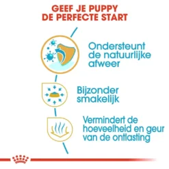 Royal Canin Hondenvoer Chihuahua Puppy 1,5 Kg -Aanbiedingen Snoef Poot Winkel royal canin chihuahua junior pup hond chihuahua hero usp