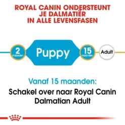 Royal Canin Hondenvoer Dalmatian Puppy 12 Kg -Aanbiedingen Snoef Poot Winkel royal canin dalmatian junior pup hond dalmatier hero image 9