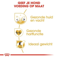 Royal Canin Hondenvoer Golden Retriever Adult 12 Kg -Aanbiedingen Snoef Poot Winkel royal canin golden retriever adult volwassen hond golden retriever vanaf 15 maanden hero usp