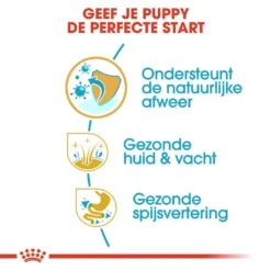 Royal Canin Hondenvoer Golden Retriever Puppy 3 Kg -Aanbiedingen Snoef Poot Winkel royal canin golden retriever junior pup hond golden retriever hero usp