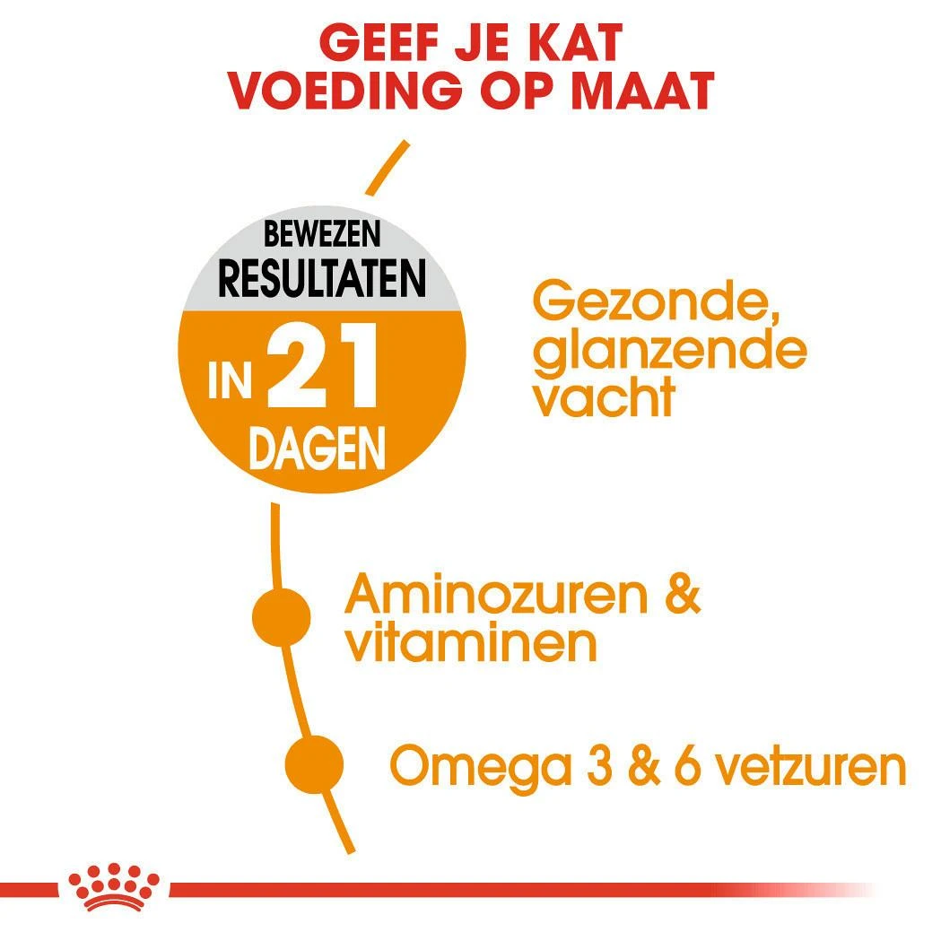 Royal Canin Kattenvoer Hair & Skin Care 4 Kg 4 Royal Canin Kattenvoer Hair & Skin Care 4 Kg - Afbeelding 4