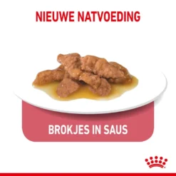 Royal Canin Kattenvoer Indoor 7+ In Gravy 12 X 85 Gr -Aanbiedingen Snoef Poot Winkel royal canin indoor sterilised 7plus gravy volwassen kat binnenkatten hero kibble