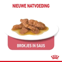 Royal Canin Kattenvoer Indoor In Gravy 12 X 85 Gr -Aanbiedingen Snoef Poot Winkel royal canin indoor sterilised gravy volwassen kat binnenkatten hero kibble