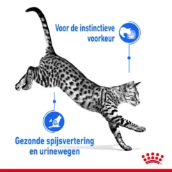 Royal Canin Kattenvoer Indoor 7+ In Gravy 12 X 85 Gr -Aanbiedingen Snoef Poot Winkel royal canin indoor sterilised gravy volwassen kat binnenkatten hero usp