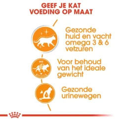 Royal Canin Kattenvoer Intense Beauty In Gravy 12 X 85 Gr -Aanbiedingen Snoef Poot Winkel royal canin intense beauty in gravy volwassen kat vacht en huid hero usp