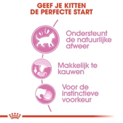 Royal Canin Kattenvoer Kitten In Gravy 12 X 85 Gr -Aanbiedingen Snoef Poot Winkel royal canin kitten in gravy kitten kat natuurlijke weerstand hero usp