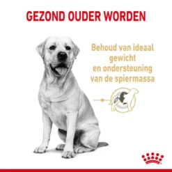 Royal Canin Hondenvoer Labrador Retriever Adult 5+ 3 Kg 5 Royal Canin Hondenvoer Labrador Retriever Adult 5+ 3 Kg -Aanbiedingen Snoef Poot Winkel royal canin labrador retriever adult volwassen hond labrador retriever vanaf 5 jaar hero usp