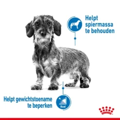 Royal Canin Hondenvoer Light Weight Care 12 X 85 Gr 7 Royal Canin Hondenvoer Light Weight Care 12 X 85 Gr -Aanbiedingen Snoef Poot Winkel royal canin light weight care natvoeding extra zorg gewicht volwassen honden hero usp