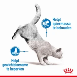 Royal Canin Kattenvoer Light Weight Care 3 Kg -Aanbiedingen Snoef Poot Winkel royal canin light weight care volwassen kat preventie overgewicht hero image 8