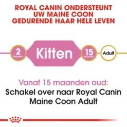 Royal Canin Kattenvoer Maine Coon Kitten 10 Kg 7 Royal Canin Kattenvoer Maine Coon Kitten 10 Kg -Aanbiedingen Snoef Poot Winkel royal canin maine coon kitten kitten kat maine coon hero image 8 2