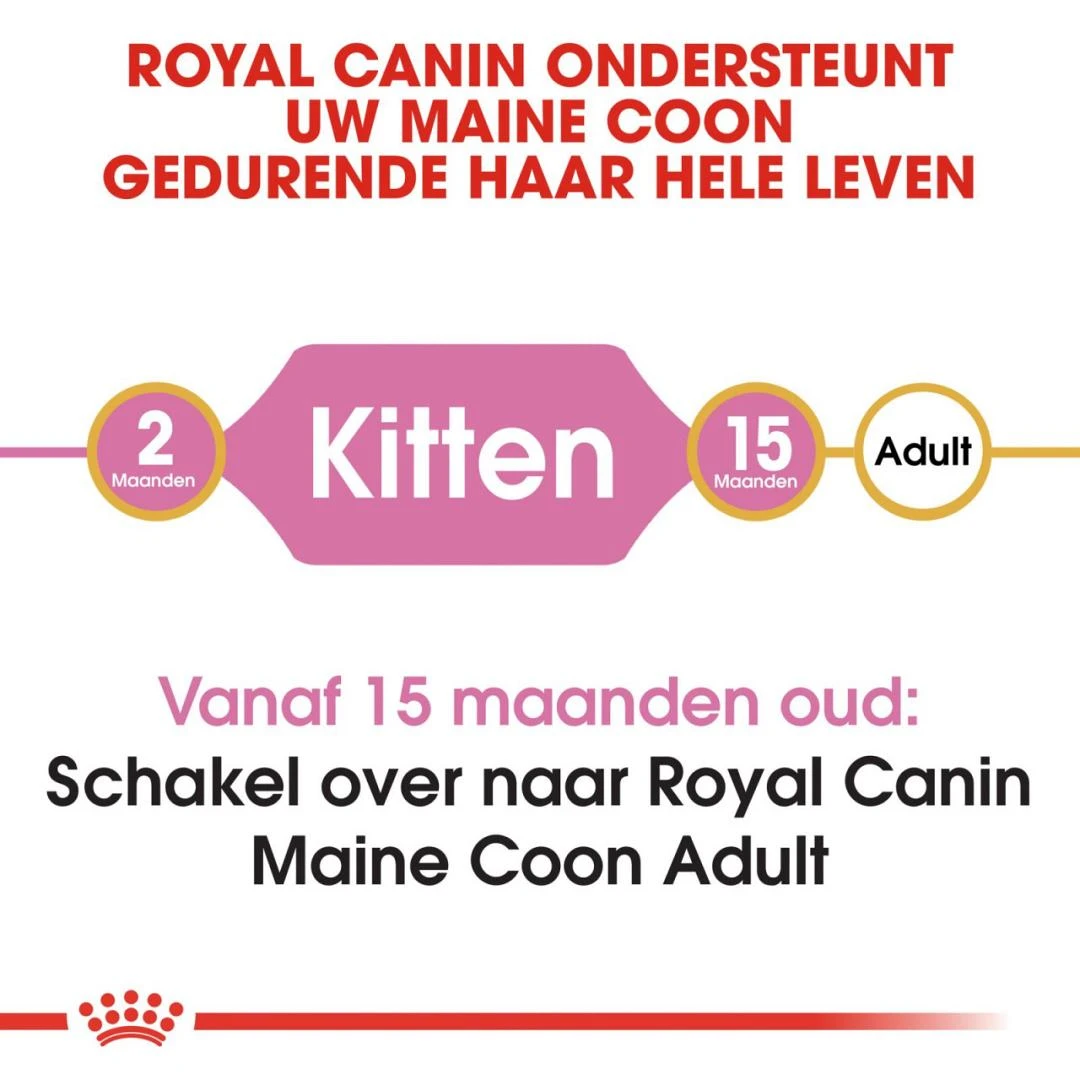 Royal Canin Kattenvoer Maine Coon Kitten 10 Kg 4 Royal Canin Kattenvoer Maine Coon Kitten 10 Kg - Afbeelding 4
