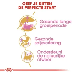Royal Canin Kattenvoer Maine Coon Kitten 2 Kg -Aanbiedingen Snoef Poot Winkel royal canin maine coon kitten kitten kat maine coon hero usp 1