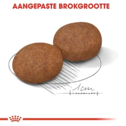 Royal Canin Hondenvoer Medium Adult 7+ 4 Kg -Aanbiedingen Snoef Poot Winkel royal canin medium adult 7plus volwassen hond middelgrote hondenrassen vanaf 7 jaar hero kibble 1