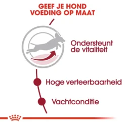 Royal Canin Hondenvoer Medium Adult 7+ 4 Kg -Aanbiedingen Snoef Poot Winkel royal canin medium adult 7plus volwassen hond middelgrote hondenrassen vanaf 7 jaar hero usp 1