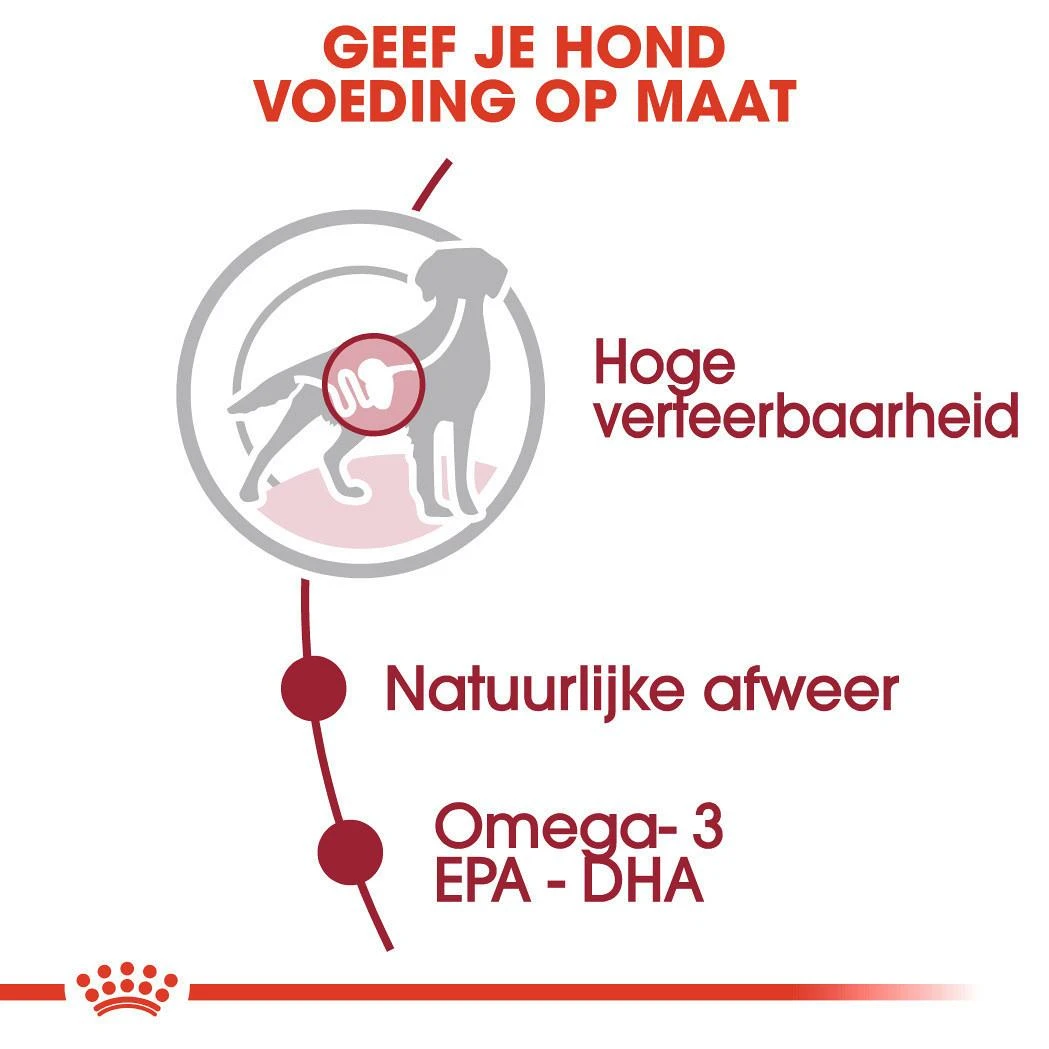 Royal Canin Hondenvoer Medium Adult 10 X 140 Gr 4 Royal Canin Hondenvoer Medium Adult 10 X 140 Gr - Afbeelding 4