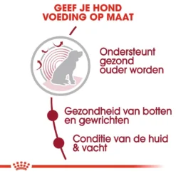 Royal Canin Hondenvoer Medium Ageing 10+ 15 Kg -Aanbiedingen Snoef Poot Winkel royal canin medium ageing 10plus senior hond oudere hond vanaf 10 jaar hero usp