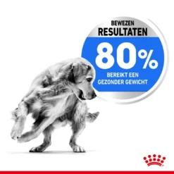 Royal Canin Hondenvoer Light Weight Care Medium 3 Kg 7 Royal Canin Hondenvoer Light Weight Care Medium 3 Kg -Aanbiedingen Snoef Poot Winkel royal canin medium light weight care volwassen hond gewicht middelgrote hondenrassen hero usp