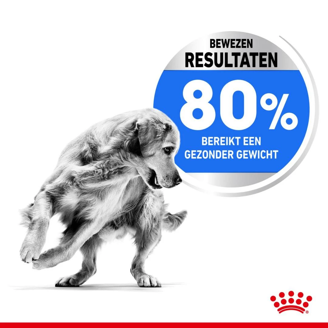 Royal Canin Hondenvoer Light Weight Care Medium 3 Kg 4 Royal Canin Hondenvoer Light Weight Care Medium 3 Kg - Afbeelding 4
