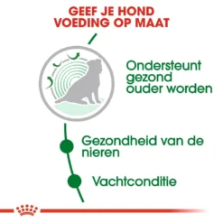 Royal Canin Hondenvoer Mini Ageing 12+ 3,5 Kg -Aanbiedingen Snoef Poot Winkel royal canin mini ageing 12plus senior hond oudere hond vanaf 12 jaar hero usp