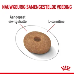 Royal Canin Hondenvoer Light Weight Care Mini 3 Kg -Aanbiedingen Snoef Poot Winkel royal canin mini light weight care volwassen hond gezond gewicht kleine hondenrassen hero kibble