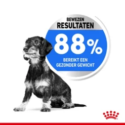 Royal Canin Hondenvoer Light Weight Care Mini 3 Kg -Aanbiedingen Snoef Poot Winkel royal canin mini light weight care volwassen hond gezond gewicht kleine hondenrassen hero usp