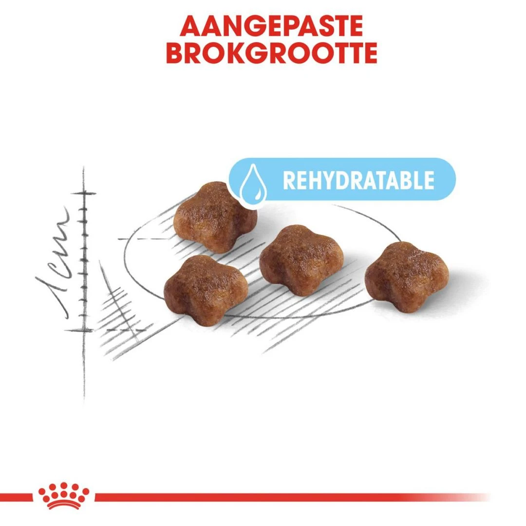 Royal Canin Kattenvoer Mother & Babycat 4 Kg 2 Royal Canin Kattenvoer Mother & Babycat 4 Kg - Afbeelding 2