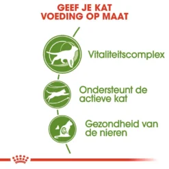 Royal Canin Kattenvoer Outdoor 7+ 2 Kg -Aanbiedingen Snoef Poot Winkel royal canin outdoor 7plus volwassen kat buitenkatten vanaf 7 jaar hero usp
