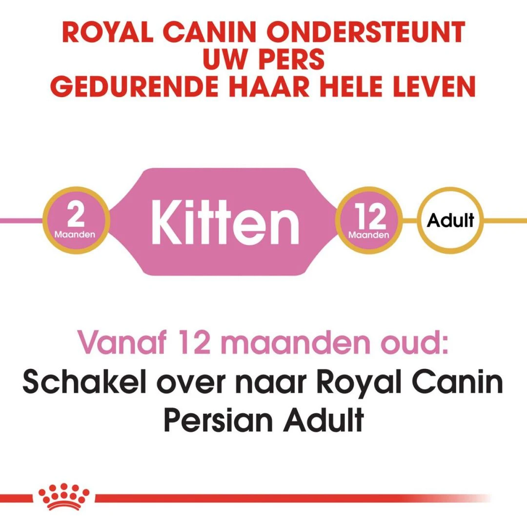 Royal Canin Kattenvoer Persian Kitten 2 Kg 4 Royal Canin Kattenvoer Persian Kitten 2 Kg - Afbeelding 4